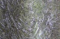 Cranley Gardens fibreglass roof work